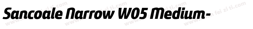 Sancoale Narrow W05 Medium字体转换